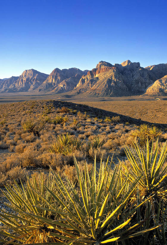 无人,竖图,室外,沙漠,美国,地形,摄影,北美,内华达州,彩图
