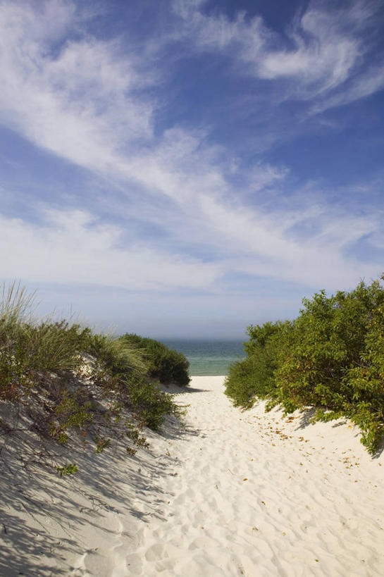 无人,竖图,美国,摄影,北美,北美洲,美洲,马萨诸塞州,麻州,麻省,马萨诸塞,麻塞诸塞,老殖民地,海湾之州,北亚美利加洲,亚美利加洲,马撒葡萄园岛,马萨葡萄园岛,玛莎葡萄园岛,美国人,彩图,美利坚合众国