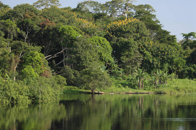 无人,横图,室外,河流,非洲,喀麦隆,地形,摄影,彩图