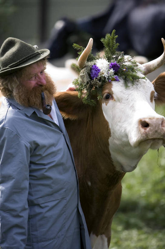 一个人,竖图,室外,瑞士,欧洲,摄影,西欧,肖像,游行,母牛,劳特布龙嫩,彩图