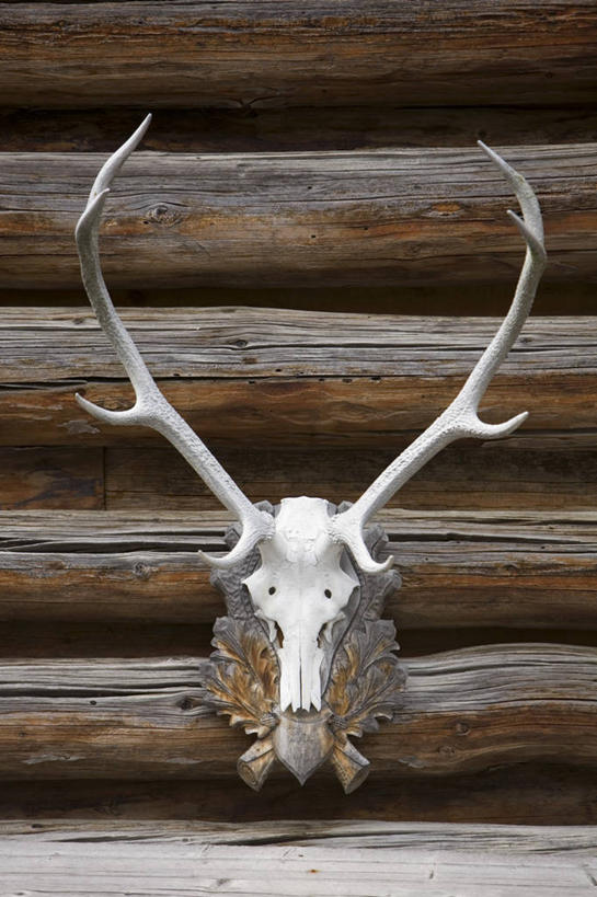 无人,竖图,室外,瑞士,欧洲,阿尔卑斯山,摄影,西欧,鹿角,中欧,阿尔卑斯山脉,瑞士联邦,格劳宾登州,格劳宾登,彩图,奖杯