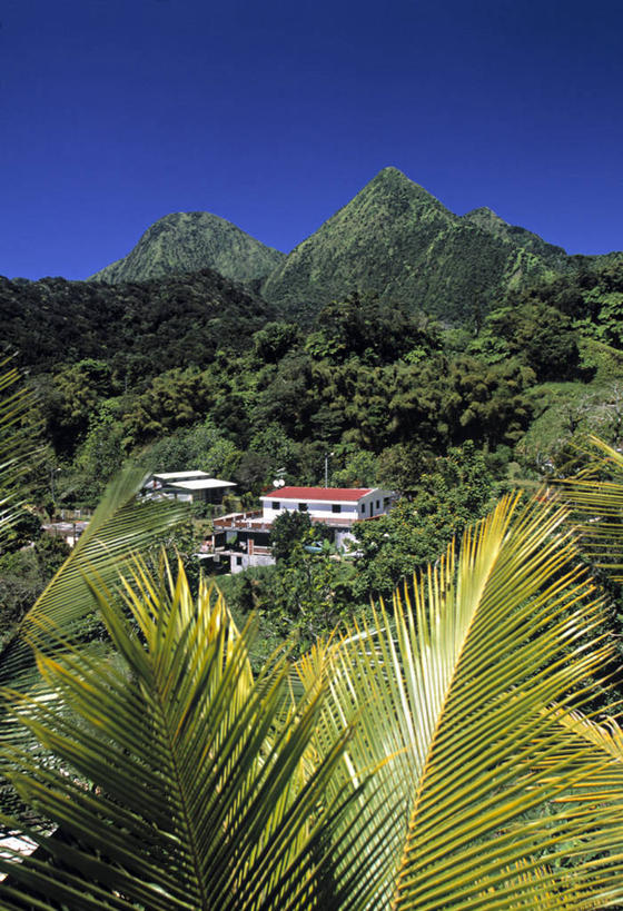 无人,竖图,室外,岛,地形,摄影,热带气候,马提尼克岛,彩图,旅行,法国海外领土