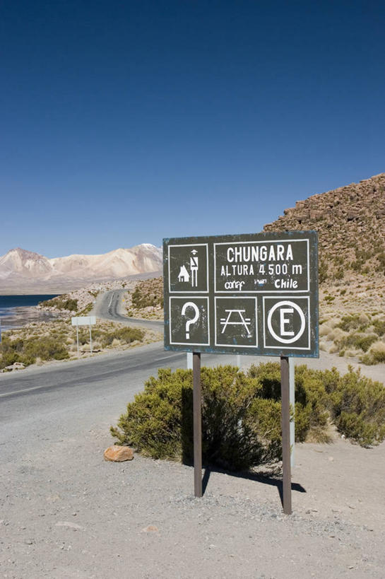 无人,竖图,室外,智利,南美,摄影,拉丁美洲,朗卡国家公园,美国人,彩图