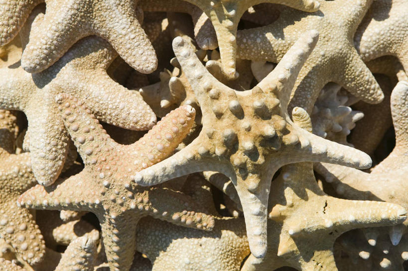 无人,横图,希腊,欧洲,摄影,西欧,地中海文化,南欧,希腊文化,多德卡尼斯群岛,彩图