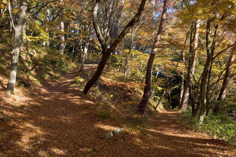 无人,横图,日本,亚洲,日本文化,摄影,中部地方,岐阜县,彩图