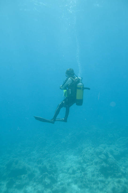 一个人,竖图,水下,马尔代夫,潜水,摄影,印度洋,彩图