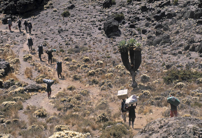 横图,室外,旅游,度假,非洲,坦桑尼亚,小路,娱乐,享受,休闲,放松,摄影,乞力马扎罗山,东非,彩图,门房