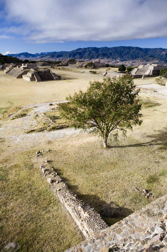 无人,竖图,墨西哥,废墟,摄影,考古学,中美洲,拉丁美洲,瓦哈卡,彩图
