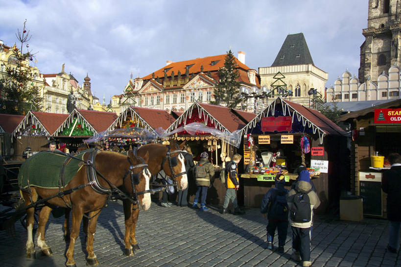 广场,横图,方图,欧洲,捷克,圣诞节,冬天,市场,首都,摄影,政府,东欧,中欧,捷克共和国,旧城广场,布拉格广场,布拉格,瓦茨拉夫广场,布拉格旧城广场,布拉格老城广场,提恩教堂,彩图,旅行,布拉格历史中心