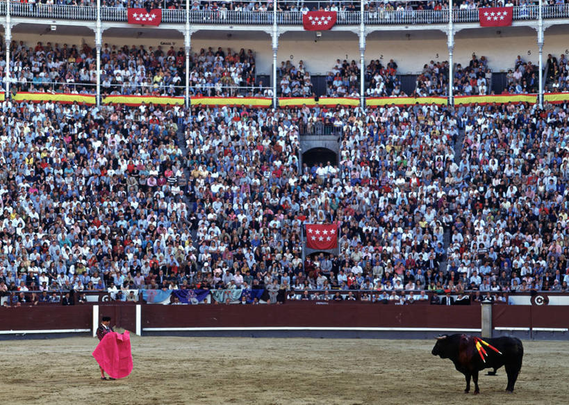 横图,锻炼,快乐,比赛,运动,竞争,斗牛,西班牙,欧洲,娱乐,斗牛场,休闲,摄影,体育运动,体育,彩图,健身,旅行,西班牙斗牛