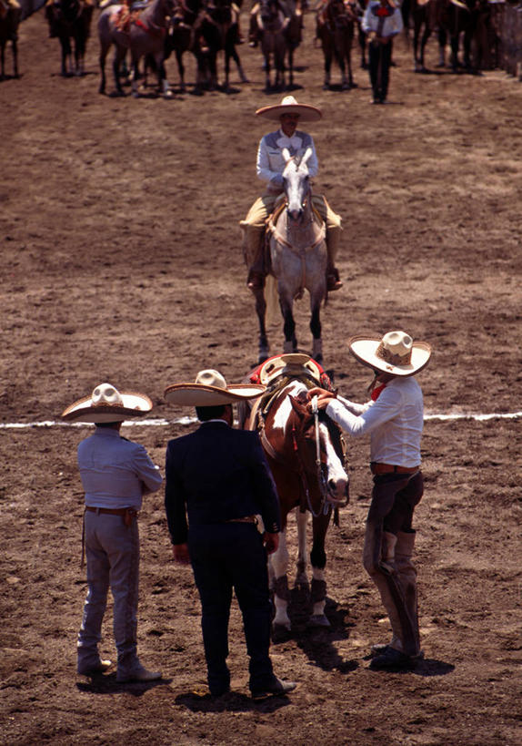 牛仔,竖图,墨西哥,摄影,中美洲,拉丁美洲,彩图,旅行