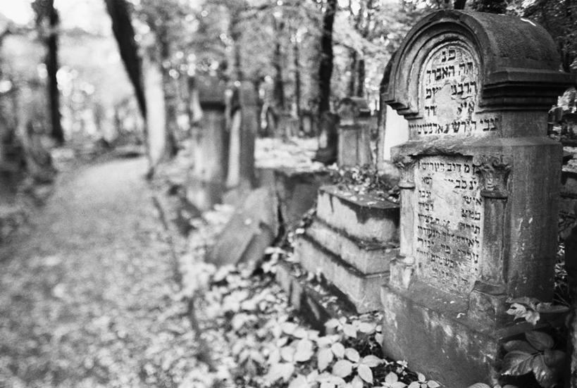 无人,横图,波兰,摄影,东欧,克拉科夫,彩图,旅行