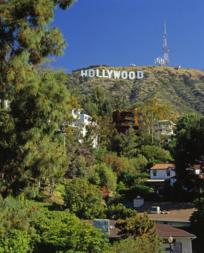 无人,竖图,室外,美国,摄影,北美,北美洲,加利福尼亚,美洲,加州,洛杉矶,加利福尼亚州,金州,黄金州,北亚美利加洲,亚美利加洲,天使之城,美国人,彩图,县治,洛杉矶县,美利坚合众国,洛城