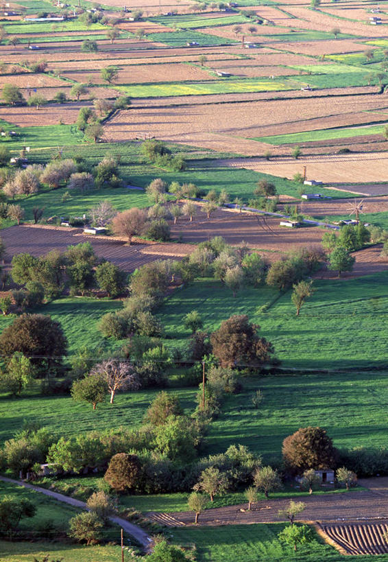 无人,竖图,农业,希腊,欧洲,摄影,地中海文化,克里特岛,彩图,旅行