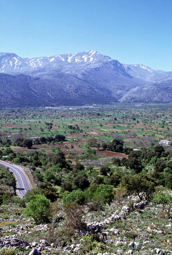 无人,竖图,农业,希腊,欧洲,摄影,地中海文化,克里特岛,彩图,旅行