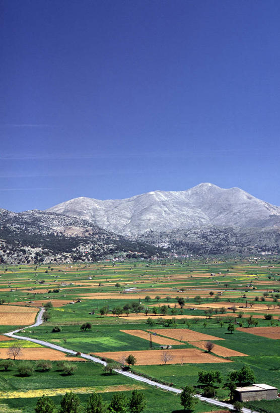 无人,竖图,农业,希腊,欧洲,摄影,地中海文化,克里特岛,彩图,旅行