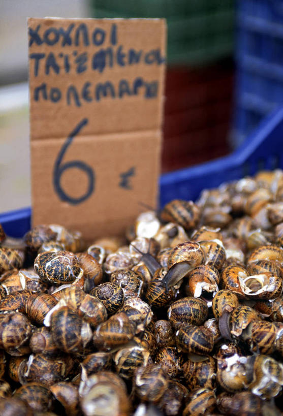 无人,竖图,室外,城市,希腊,欧洲,蜗牛,古城,食品,市场,饮食,摄影,地中海文化,克里特岛,干尼亚,彩图,旅行