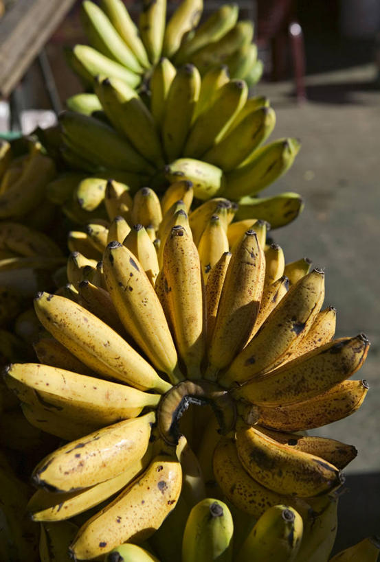 无人,竖图,香蕉,水果,岛,食品,摄影,拉丁美洲,瓜德罗普岛,彩图,法国海外领土