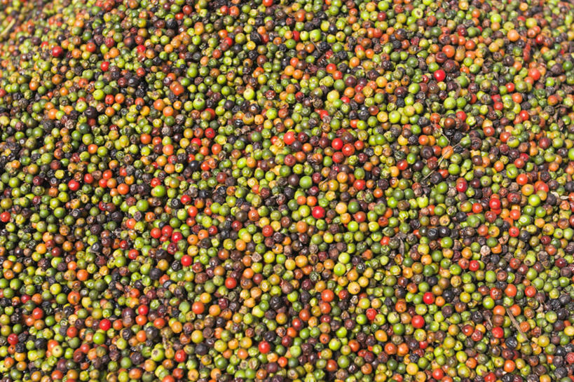 无人,横图,缅甸,亚洲,地标建筑,摄影,东南亚,缅甸联邦,孟邦,彩图