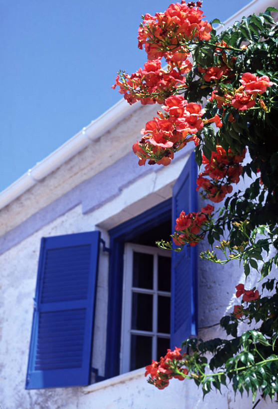 无人,竖图,窗户,希腊,欧洲,摄影,地中海文化,科孚,彩图,艾奥尼亚群岛