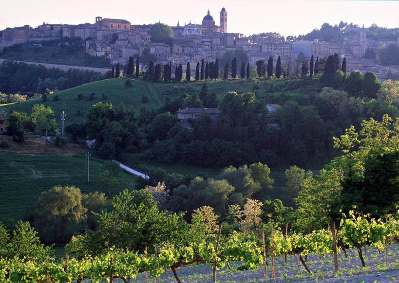 无人,横图,意大利,欧洲,地形,乡村,摄影,乌比诺,彩图