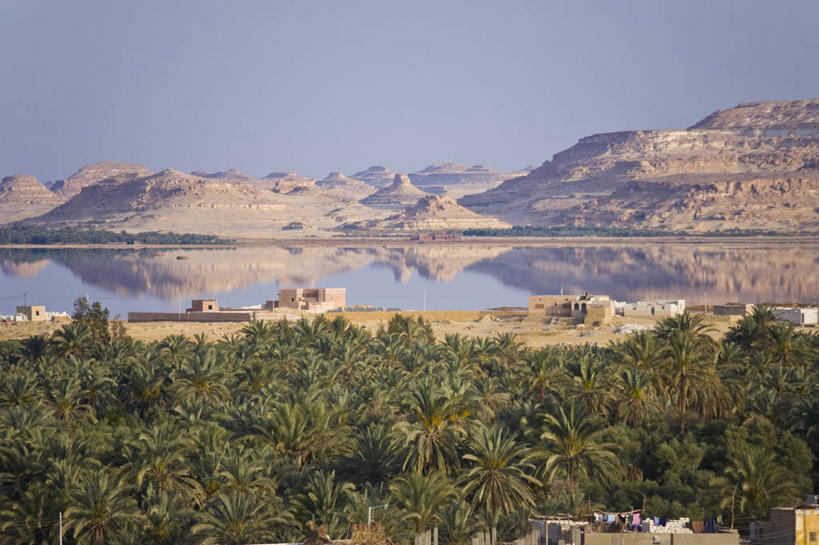 无人,横图,室外,非洲,埃及,地形,摄影,绿洲,中东,北非,埃及文化,锡瓦绿洲,彩图