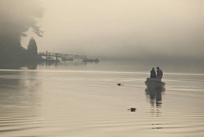 横图,水,雾,美国,摄影,北美,马萨诸塞,格洛斯特,彩图