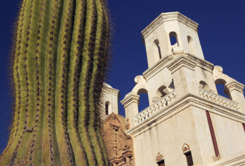 无人,横图,仙人掌,美国,摄影,亚利桑那,北美,北美洲,美洲,图森市,北亚美利加洲,亚美利加洲,彩图,美利坚合众国