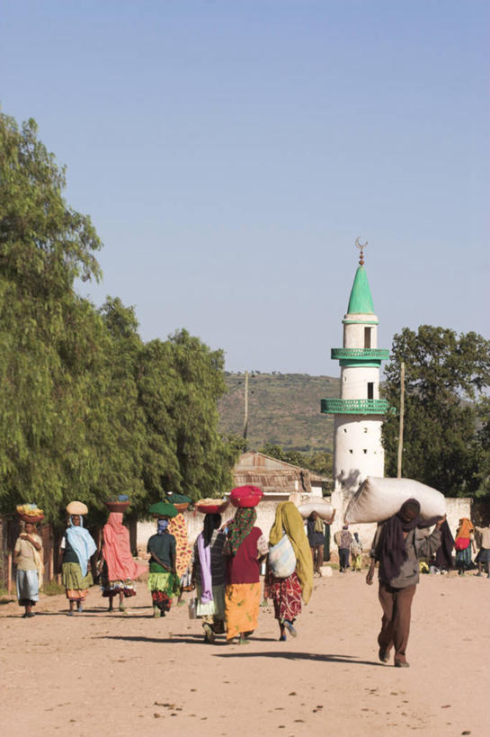 竖图,城市,非洲,埃塞俄比亚,摄影,宗教,伊斯兰教,清真寺,彩图