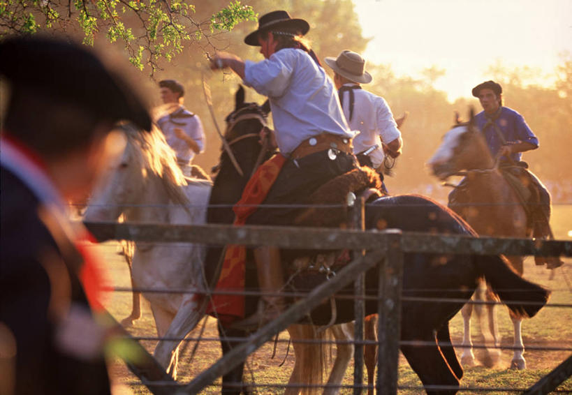横图,马,阿根廷,南美,摄影,拉丁美洲,彩图,牧人节