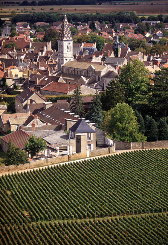 葡萄酒,无人,竖图,法国,欧洲,地形,乡村,城镇,酒窖,摄影,洞穴,法国文化,科多尔省,布根地,彩图