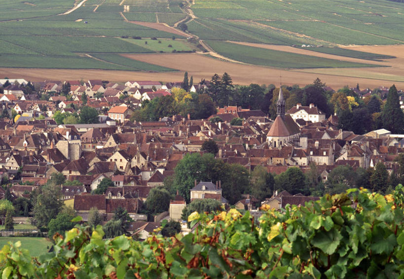 无人,横图,室外,法国,欧洲,乡村,城镇,葡萄园,藤蔓,摄影,法国文化,藤蔓植物,布根地,彩图