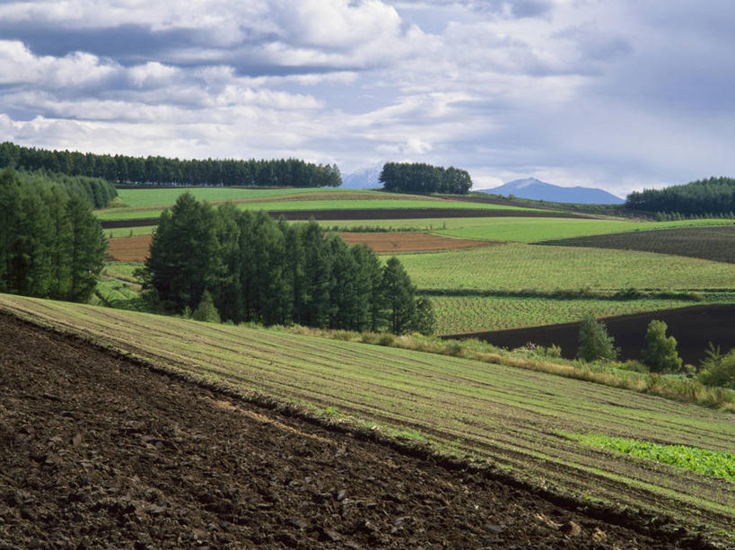 无人,横图,农业,北海道,日本,亚洲,日本文化,摄影,富良野,彩图