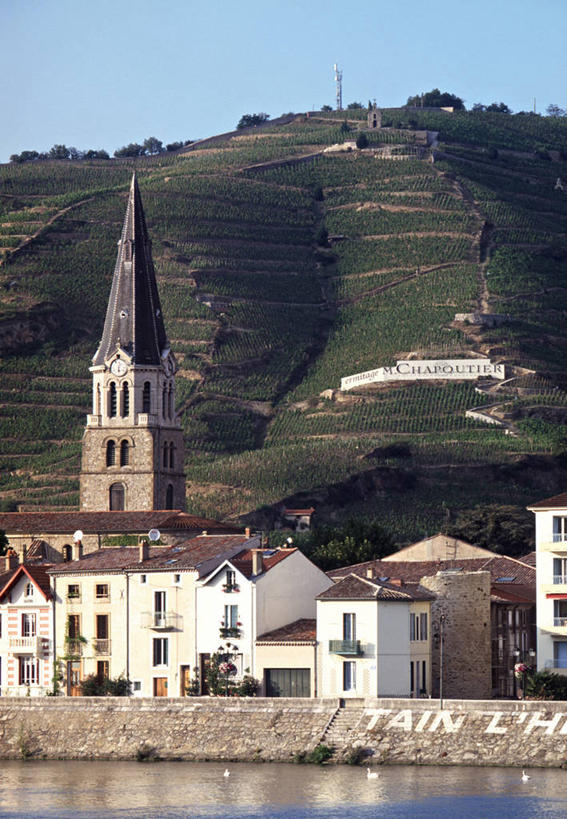 葡萄酒,无人,竖图,室外,农业,法国,欧洲,乡村,城镇,葡萄园,藤蔓,摄影,西欧,法兰西,法国文化,藤蔓植物,法兰西共和国,法兰西第五共和国,彩图,罗讷.阿尔卑斯,罗讷.阿尔卑斯大区,罗讷河