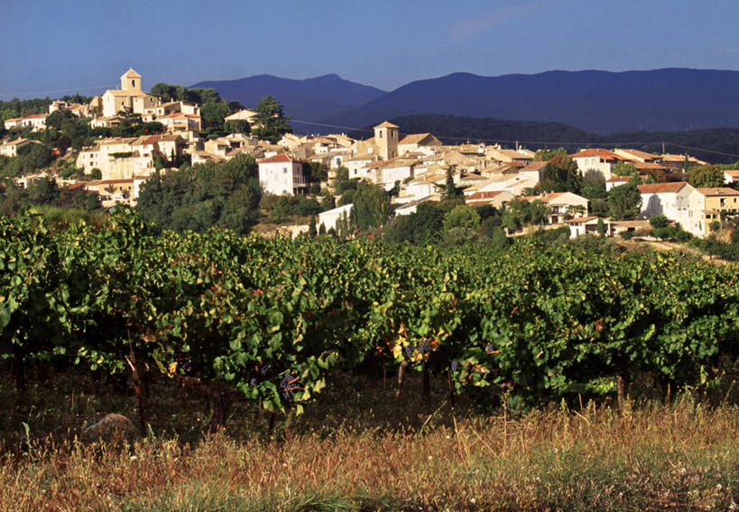 葡萄酒,无人,横图,室外,农业,法国,欧洲,地形,乡村,葡萄园,藤蔓,摄影,西欧,法兰西,法国文化,藤蔓植物,法兰西共和国,法兰西第五共和国,彩图,德龙省,罗讷.阿尔卑斯,罗讷.阿尔卑斯大区