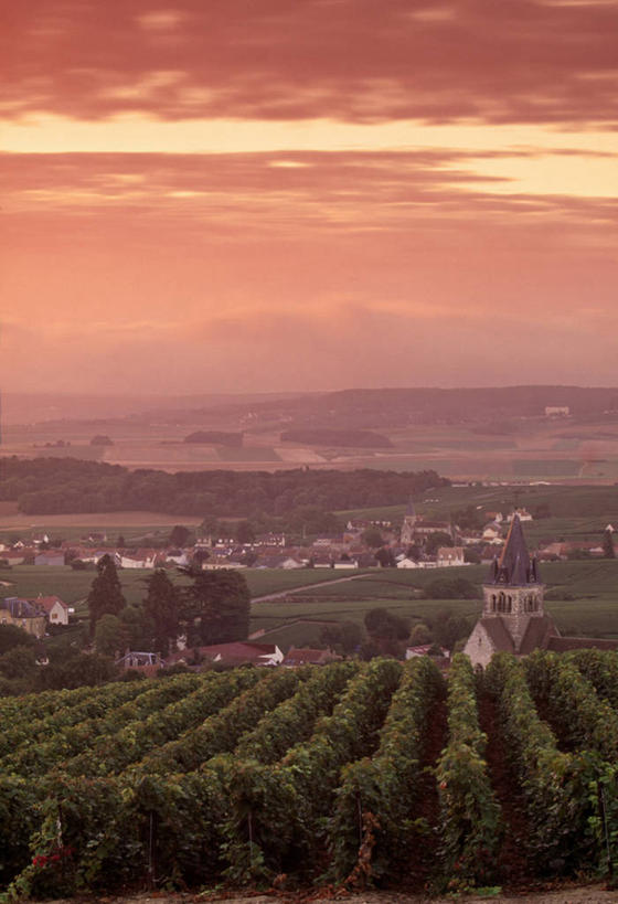 无人,教堂,竖图,室外,法国,欧洲,地形,乡村,葡萄园,香槟,摄影,西欧,法兰西,法国文化,法兰西共和国,法兰西第五共和国,香槟.阿登,香槟.阿登大区,马恩省,彩图,撒谎者