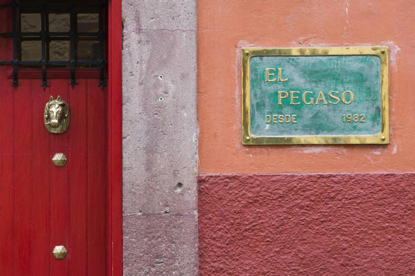 无人,横图,墨西哥,摄影,北美,北美洲,中美洲,拉丁美洲,美洲,瓜纳华托,瓜纳华托州,北亚美利加洲,亚美利加洲,墨西哥合众国,仙人掌王国,彩图