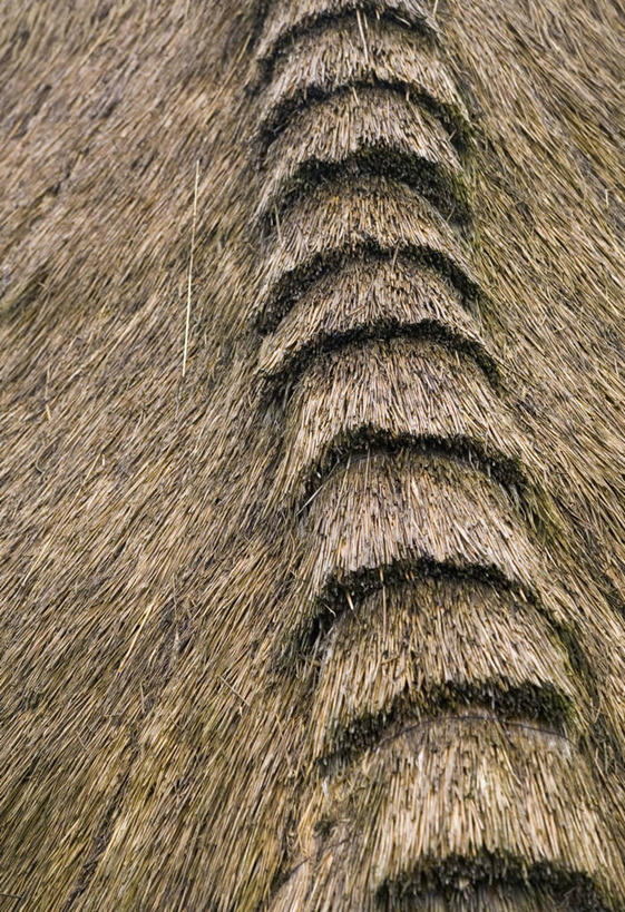 无人,博物馆,家,竖图,室外,美景,别墅,房屋,屋顶,屋子,草屋,景观,乡村,公寓,顶棚,洋房,楼房,住宅,自然,茅草屋,景色,摄影,自然风光,东欧,中欧,匈牙利共和国,彩图,房子,茅舍,茅屋,小屋