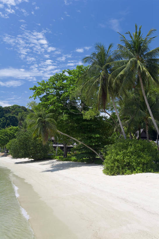 无人,竖图,室外,度假,棕榈树,马来西亚,亚洲,沙子,摄影,东南亚,热带气候,新西兰南岛,海滩,彩图,马来文化