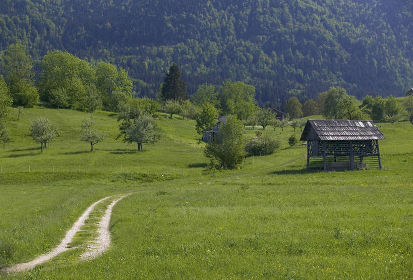 无人,教堂,横图,室外,欧洲,斯洛文尼亚,地形,田地,摄影,彩图,戈雷尼,伴侣