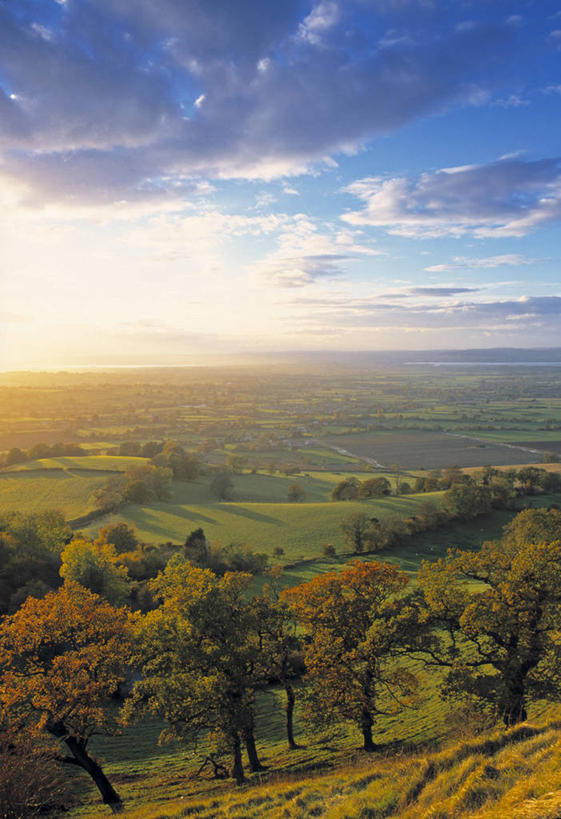 无人,竖图,英国,地形,田地,英格兰,摄影,格洛斯特郡,彩图
