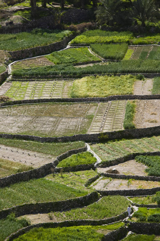 无人,竖图,阿曼,乡村,摄影,中东,波斯湾,阿拉伯,彩图,阿拉伯半岛