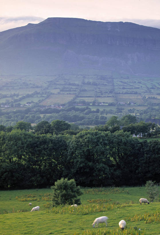 无人,竖图,室外,农业,美景,爱尔兰,欧洲,地形,景观,自然,景色,摄影,自然风光,科罗拉多州,爱尔兰共和国,斯莱戈,斯莱戈郡,彩图