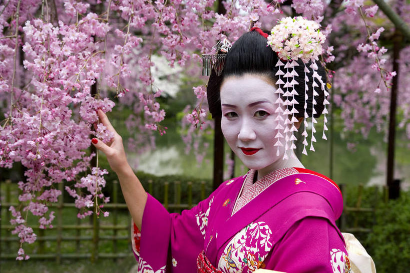 成年人,一个人,横图,日本,亚洲,仅一个女性,和服,日本文化,摄影,京都府,肖像,艺妓,东亚,本州,本州岛,日本国,近畿地方,近畿,女人,彩图