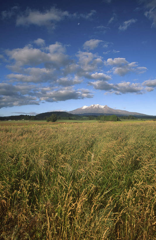 无人,竖图,室外,火山,新西兰,摄影,澳大拉西亚,鲁阿佩胡山,彩图