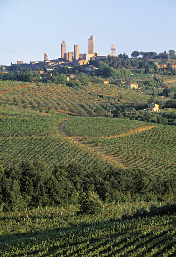 无人,竖图,室外,农业,山,建筑,意大利,欧洲,塞浦路斯,乡村,塔,葡萄园,摄影,西欧,南欧,意大利文化,托斯卡纳区,白杨,圣吉米尼亚诺,兰花,彩图