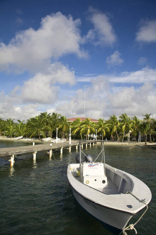 无人,竖图,伯利兹,摄影,中美洲,拉丁美洲,彩图