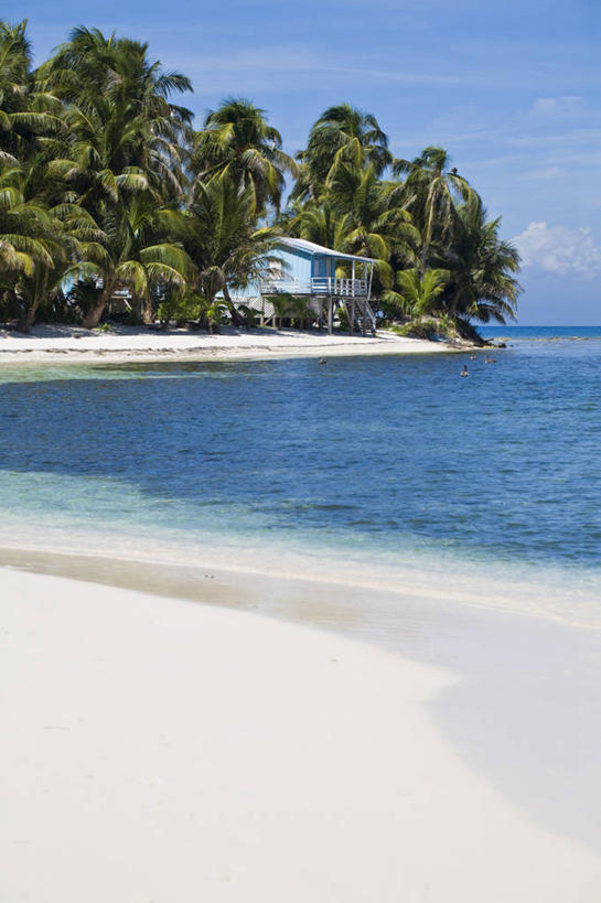 无人,竖图,室外,伯利兹,岛,珊瑚礁,摄影,热带气候,中美洲,拉丁美洲,海滩,彩图