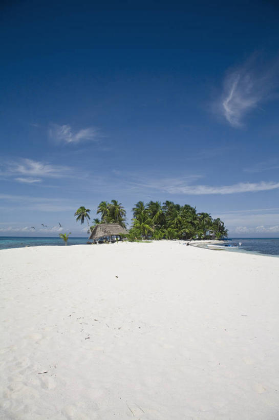 无人,竖图,室外,伯利兹,岛,珊瑚礁,摄影,热带气候,中美洲,拉丁美洲,海滩,彩图