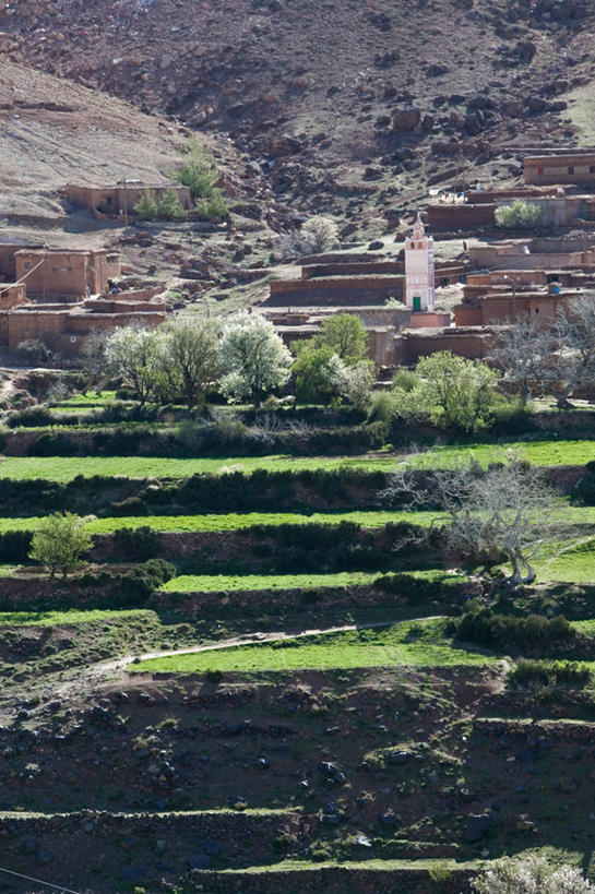 无人,竖图,室外,非洲,摩洛哥,乡村,摄影,北非,阿特拉斯山脉,摩洛哥文化,彩图